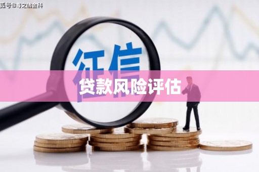 吉安贷款风险评估