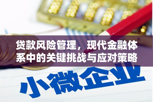 吉安贷款风险管理，现代金融体系中的关键挑战与应对策略